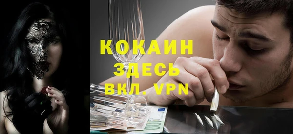 твердый Алексин