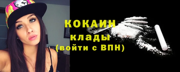 твердый Алексин