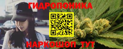 бошки Новозыбков