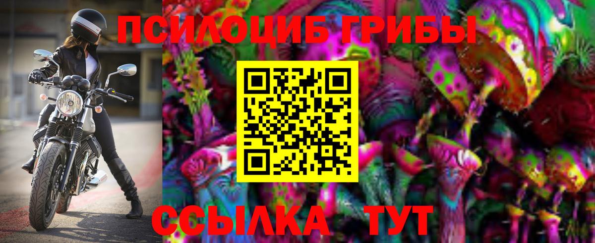 Псилоцибиновые грибы GOLDEN TEACHER  Вход с VPN  Омск 