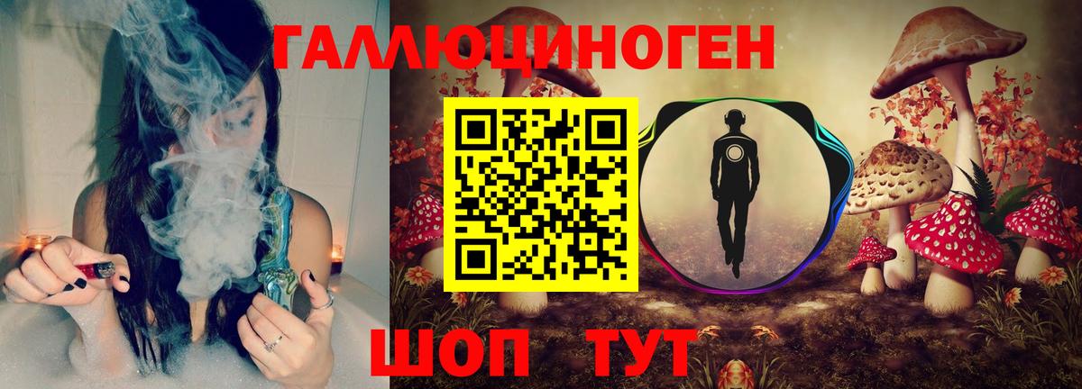 Псилоцибиновые грибы Psilocybe Омск