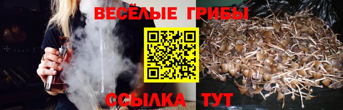 Галлюциногенные грибы прущие грибы Омск